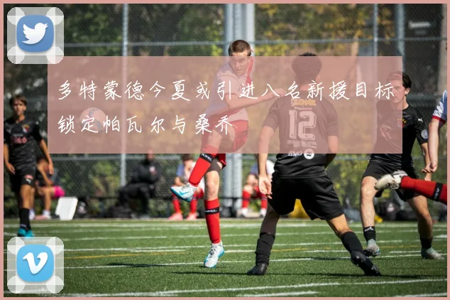 多特蒙德今夏或引进八名新援目标锁定帕瓦尔与桑乔