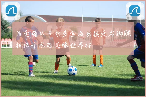 马竞确认卡尔多索成功接受右脚踝扭伤手术恐无缘世界杯
